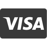 Visa SVG Icon